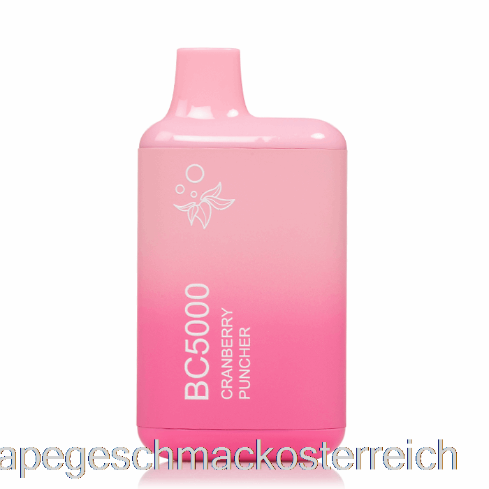 Bc5000 Einweg-Cranberry-Punsch-Vape-Geschmack